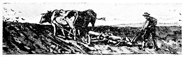 [Imagen no disponible.]