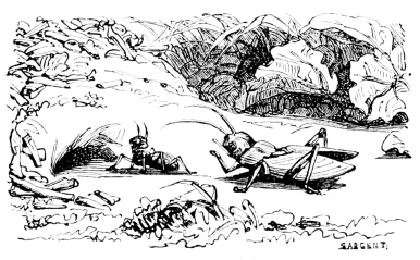 [Imagen no disponible.]