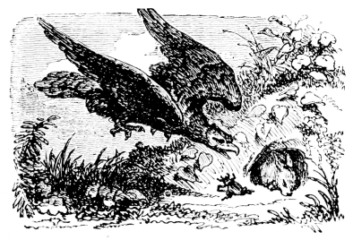 [Imagen no disponible.]