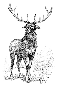 [Imagen no disponible.]