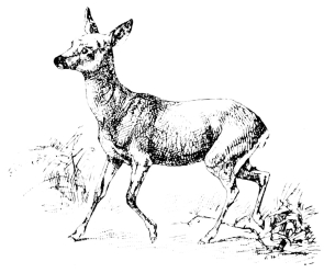 [Imagen no disponible.]