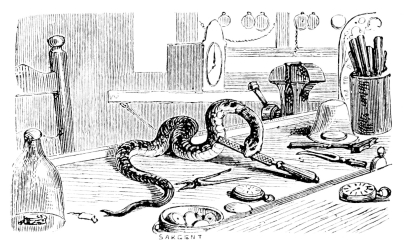 [Imagen no disponible.]