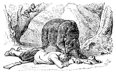 [Imagen no disponible.]