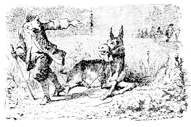 [Imagen no disponible.]