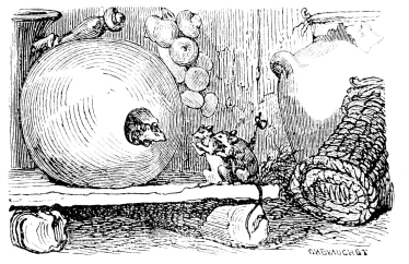 [Imagen no disponible.]