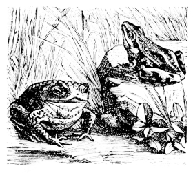 [Imagen no disponible.]