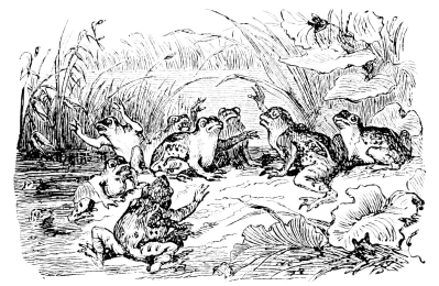 [Imagen no disponible.]