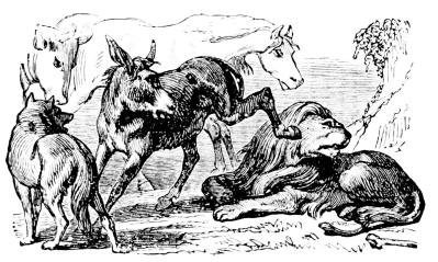 [Imagen no disponible.]