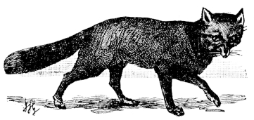 [Imagen no disponible.]