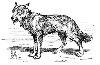 [Imagen no disponible.]