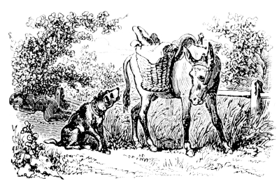 [Imagen no disponible.]