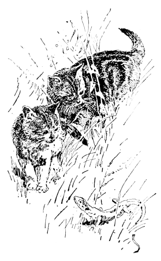 [Imagen no disponible.]