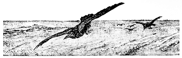 [Imagen no disponible.]