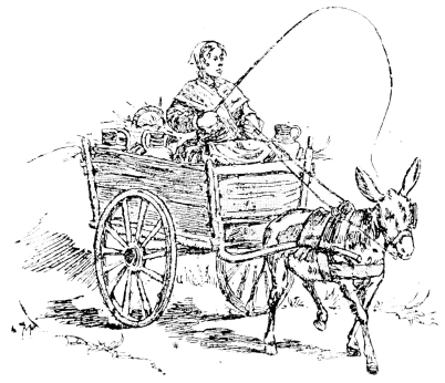 [Imagen no disponible.]