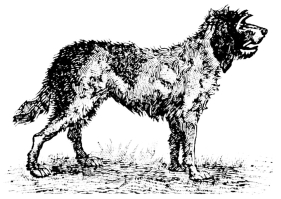 [Imagen no disponible.]