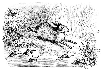 [Imagen no disponible.]