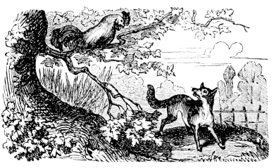 [Imagen no disponible.]