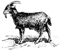 [Imagen no disponible.]