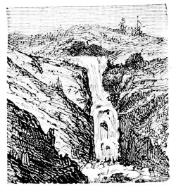 [Imagen no disponible.]