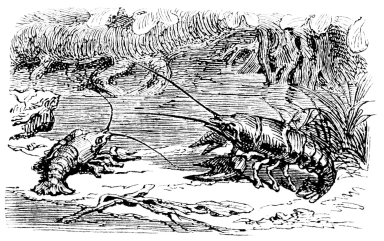 [Imagen no disponible.]