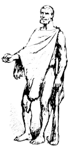 [Imagen no disponible.]