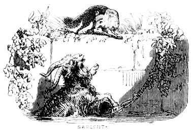 [Imagen no disponible.]