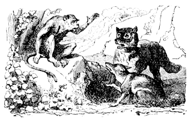 [Imagen no disponible.]