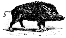 [Imagen no disponible.]