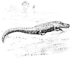 [Imagen no disponible.]