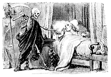 [Imagen no disponible.]