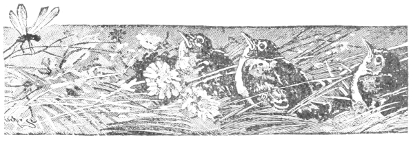 [Imagen no disponible.]