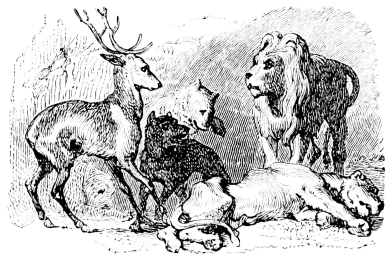 [Imagen no disponible.]