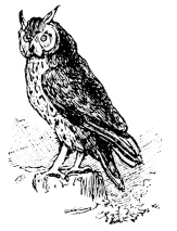 [Imagen no disponible.]