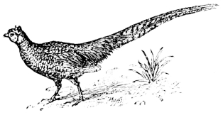 [Imagen no disponible.]