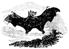 [Imagen no disponible.]