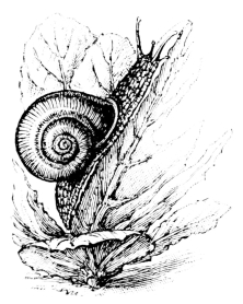 [Imagen no disponible.]