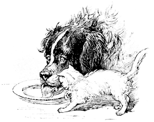 [Imagen no disponible.]