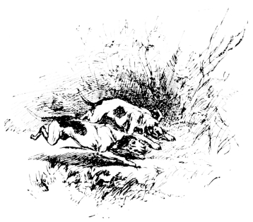 [Imagen no disponible.]