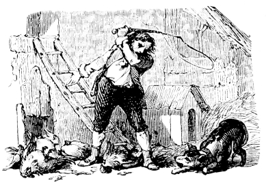 [Imagen no disponible.]