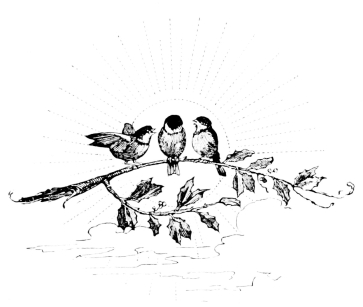 [Imagen no disponible.]