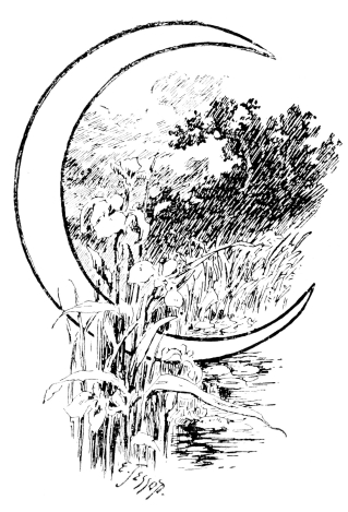 [Imagen no disponible.]