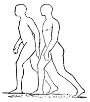 [Image unavailable.]