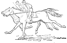 [Image unavailable.]