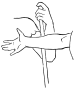 [Image unavailable.]