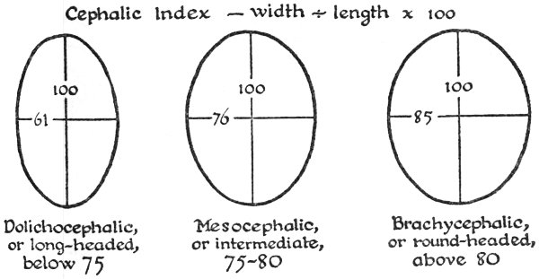 Brachycephaly Cephalic Index Chart