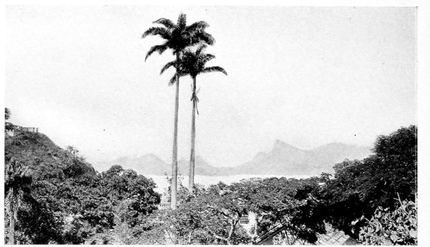 The Project Gutenberg Ebook Of Working North From Patagonia By