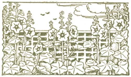 [Image unavailable.]