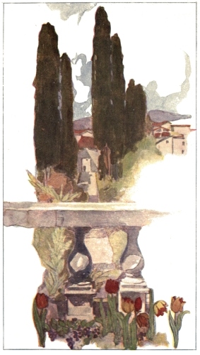 [Image unavailable.]