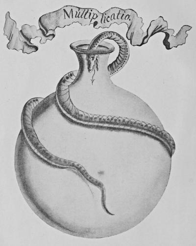 A snake encircling a bottle