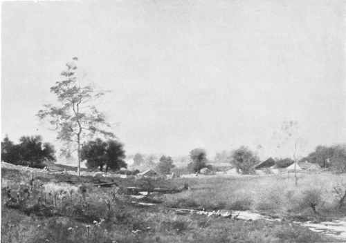 [Image unavailable.]